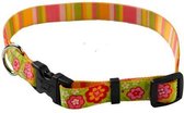 Yellowdog design Boutiquet con strisce regolabili collare, medio, 3 / 10,2 cm, verde