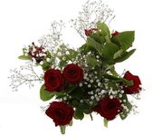 Red Sensation Rood(Red Sensation Rood)