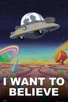 Rick And Morty I Want To Believe Poster 61x91.5cm