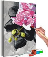 Doe-het-zelf op canvas schilderen - Roze Orchidee 40x60 ,  Europese kwaliteit, cadeau idee