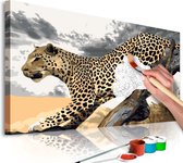 Doe-het-zelf op canvas schilderen - Cheetah-60x40