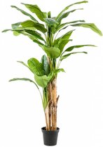 Kunst Bananenboom 210 Cm - Grote Bananenplant - Tropische Sfeermaker