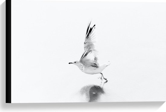 Canvas  - Witte Vliegende Vogel - 60x40cm Foto op Canvas Schilderij (Wanddecoratie op Canvas)
