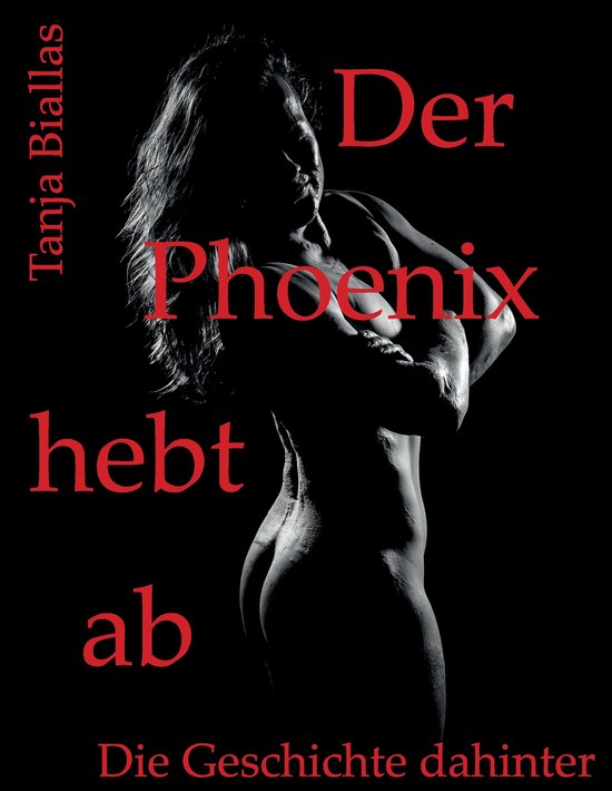 Der Phoenix hebt ab - cover