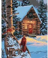 Wizardi Paint by Numbers | Forester's Hut - A046