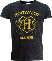 Harry Potter Hogwarts Stonewashed T-Shirt Grijs - Officiële Merch