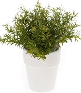 Kunst Rozemarijn Plant 20 Cm In Pot - Kunst Sfeerplant
