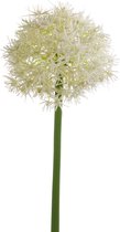 Kunstbloem Allium 65 cm wit