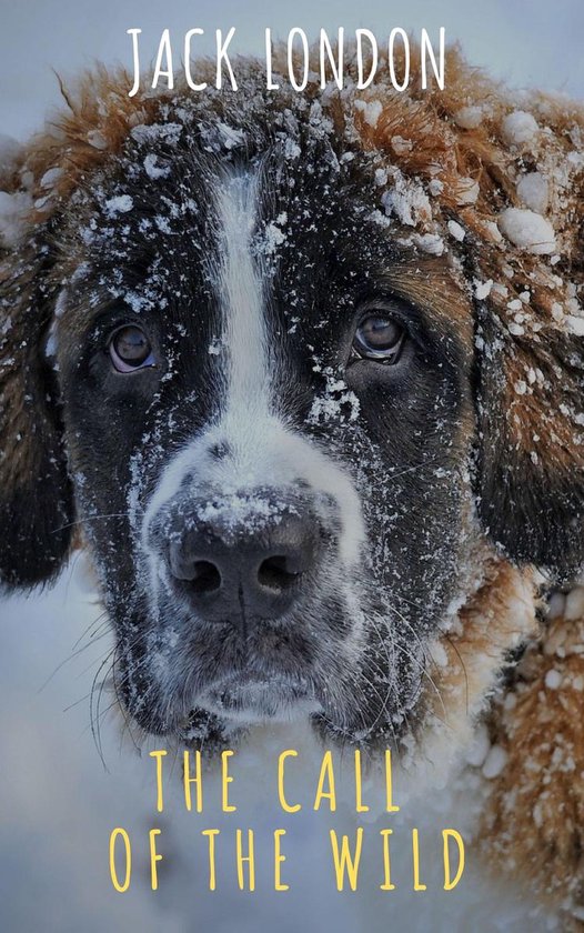 Boekcover van 'The Call of the Wild' van Jack London, met een close-up van een Sint-Bernardshond met sneeuw op zijn vacht.