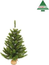 Triumph Tree - Richmond christmas tree burlap/potted green  -  h60xd53cm