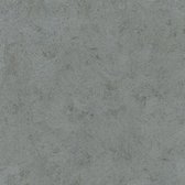 Fifty Shades/Unis 5 uni d.grijs behang (vliesbehang, grijs)