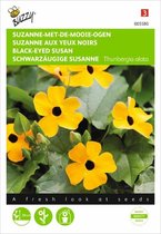 Buzzy - Suzanne met de mooie ogen (Thunbergia alata)