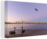 Canvas Schilderij Zwanen - Australië - Oceaan - 60x40 cm - Wanddecoratie