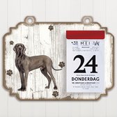 Scheurkalender 2023 Hond: Deense Dog