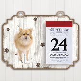 Scheurkalender 2023 Hond: keeshond