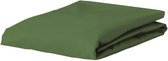 ESSENZA Premium Percale Hoeslaken Mosgroen - 180x220