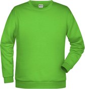 James And Nicholson Heren Basis Sweatshirt (Kalk groen)