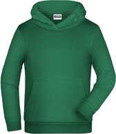 James And Nicholson Kinderen/Kinderen Basic Hoodie (Iers Groen)