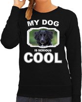 Friese stabij honden trui / sweater my dog is serious cool zwart - dames - Friese stabijs liefhebber cadeau sweaters S