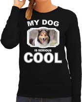 Sheltie honden trui / sweater my dog is serious cool zwart - dames - Shetland sheepdogs liefhebber cadeau sweaters S