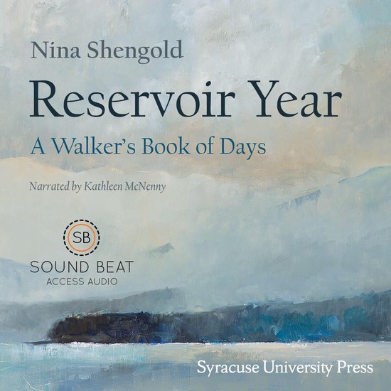 Reservoir Year - cover