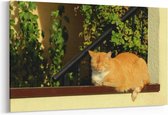 Schilderij - Kat in het raam — 90x60 cm