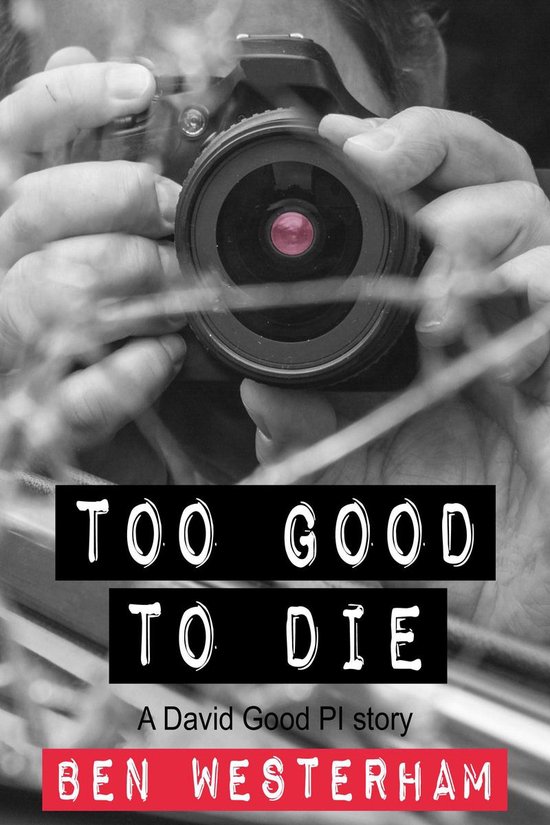 David Good Private Investigator 3 Too Good To Die Ebook Ben Westerham 