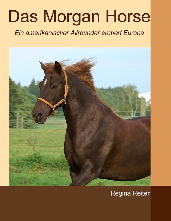 Boekomslag getiteld 'Das Morgan Horse' met een foto van een bruin Morgan-paard in een wei.