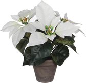 Mica Decorations Kunstplant Poinsettia 25 Cm Keramiek Wit