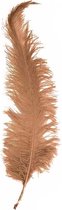 Witbaard Struisveer 50-60 Cm Beige