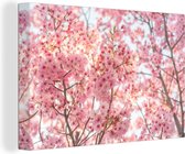 Canvas Schilderij Kersenbloesem in Japan - 60x40 cm - Wanddecoratie