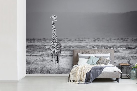 Bol Com Fotobehang Vinyl Grote Giraffe In Zwart Wit Breedte 450 Cm X Hoogte 300 Cm Foto