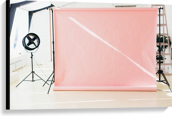 Canvas  - Roze Fotostudio - 90x60cm Foto op Canvas Schilderij (Wanddecoratie op Canvas)