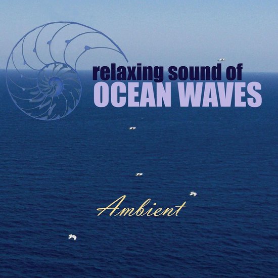 Relaxing Sound of Ocean Waves