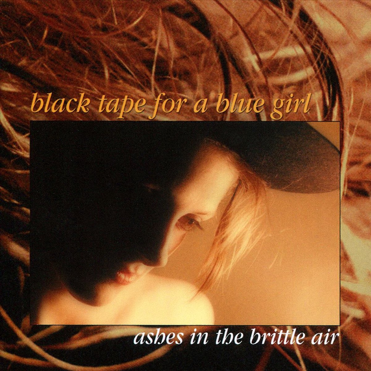 Ashes in the Brittle Air