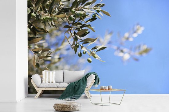 Branches de l'olivier en France fotobehang