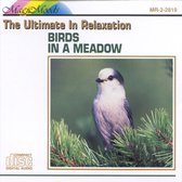 Ultimate in Relaxation: Birds in a Meadow