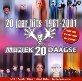 20 Jaar Hits: 1981-2001