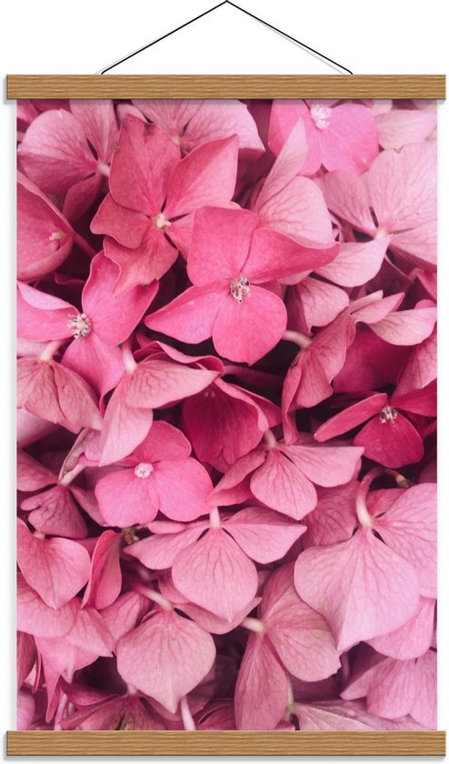 Schoolplaat – Roze Bloemblaadjes - 40x60cm Foto op Textielposter (Wanddecoratie op Schoolplaat)