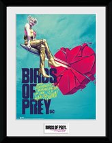 DC Comics: Birds of Prey - One Sheet Bullet 30 x 40 cm Collector Print