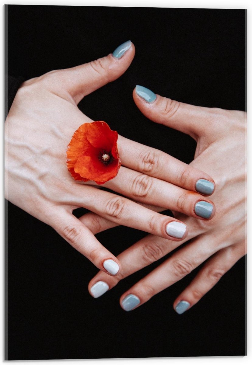 Plexiglas - Rode Bloem Tussen Mensenhand - 40x60cm Foto op Plexiglas (Wanddecoratie op Plexiglas)