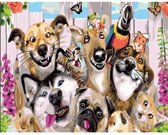 Painting Expert® Schilderen op nummer Volwassenen - Schilderen op nummer Kinderen - Selfie Honden - 40x50cm - Exclusief Lijst (24 kleurtjes)