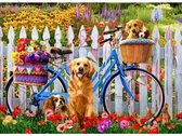 Painting Expert® Schilderen op nummer Volwassenen - Schilderen op nummer Kinderen - Fietsje met Honden - 40x50cm - Exclusief Lijst (24 kleurtjes)