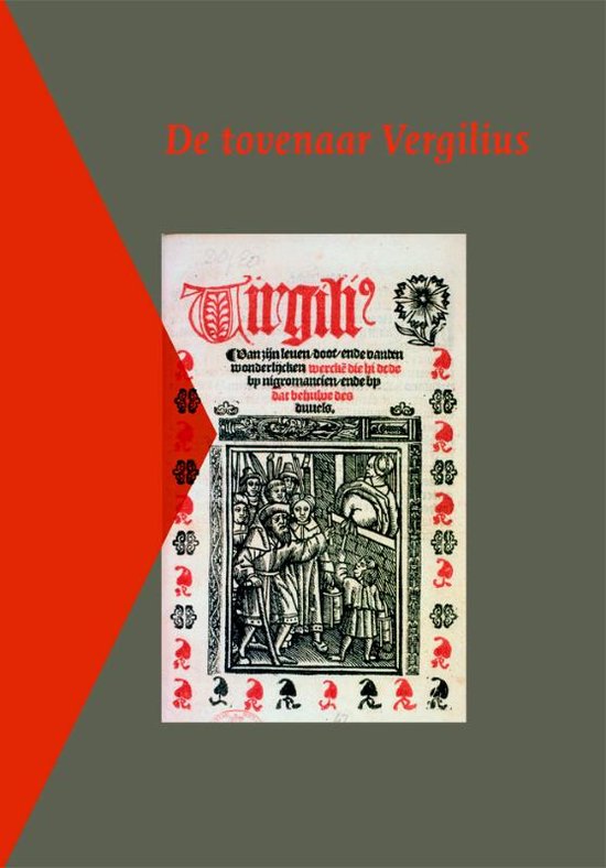 Cover van het boek 'Vergilius als tovenaar / druk 1'