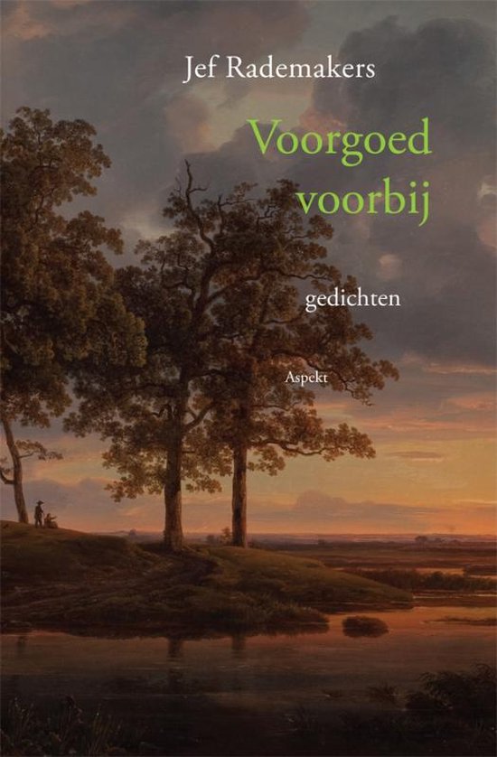 Cover van het boek 'Voorgoed voorbij'