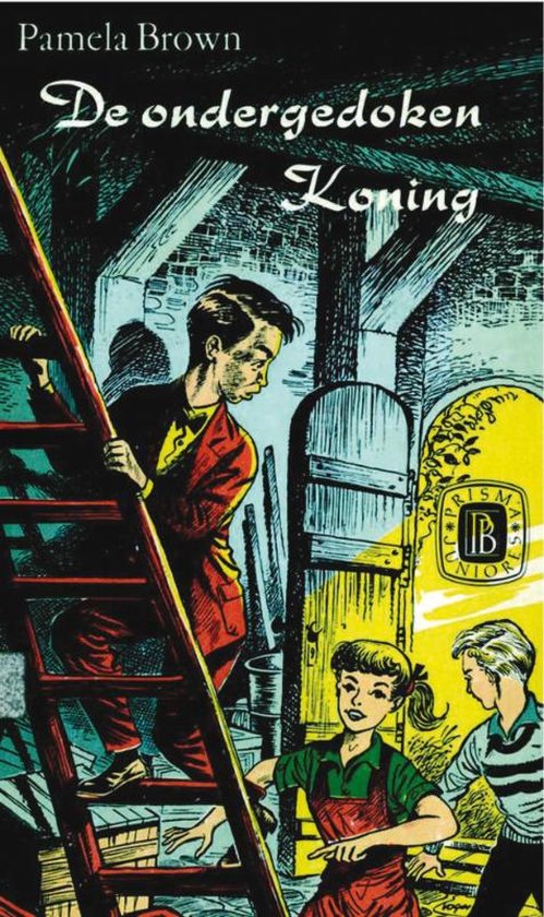 Cover van het boek 'Ondergedoken koning'