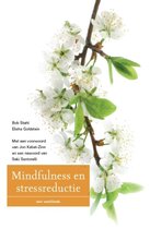 Mindfulness en stressreductie