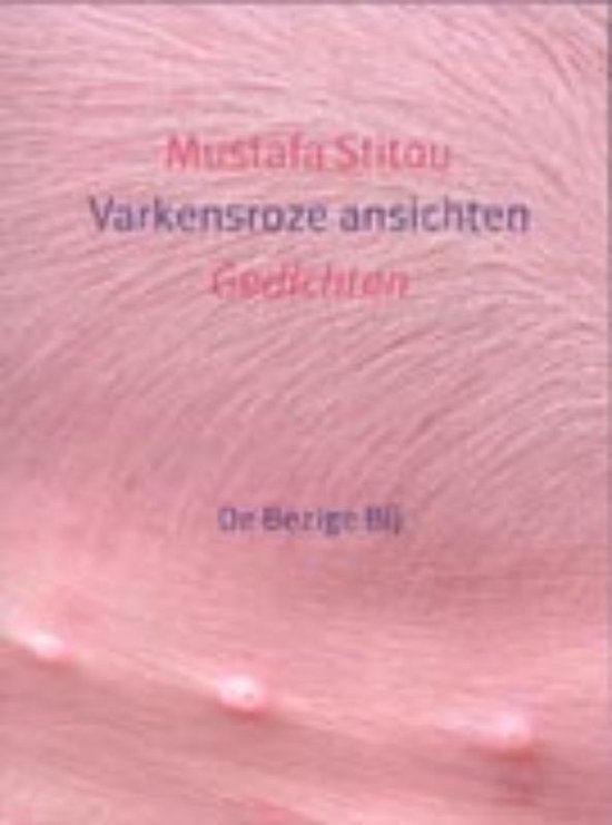 Cover van het boek 'Varkensroze ansichten' van Mustafa Stitou