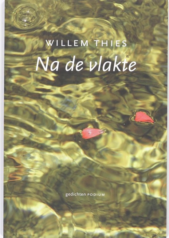 Cover van het boek 'Na de vlakte' van W. Thies