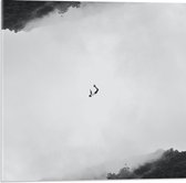 Acrylglas - Vliegende Man (zwart/wit) - 50x50cm Foto op Acrylglas (Wanddecoratie op Acrylglas)